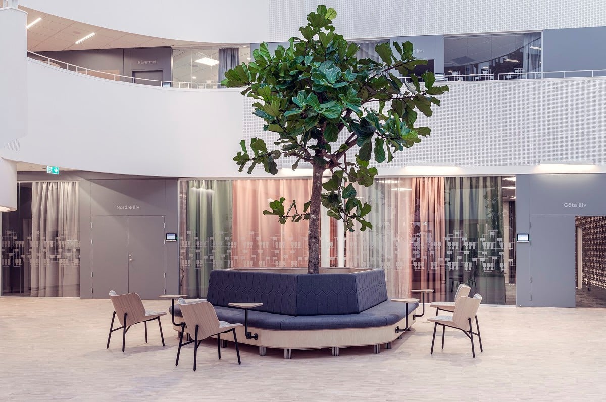 ett träd har planterats i mitten av en sittgrupp på en arbetsplats