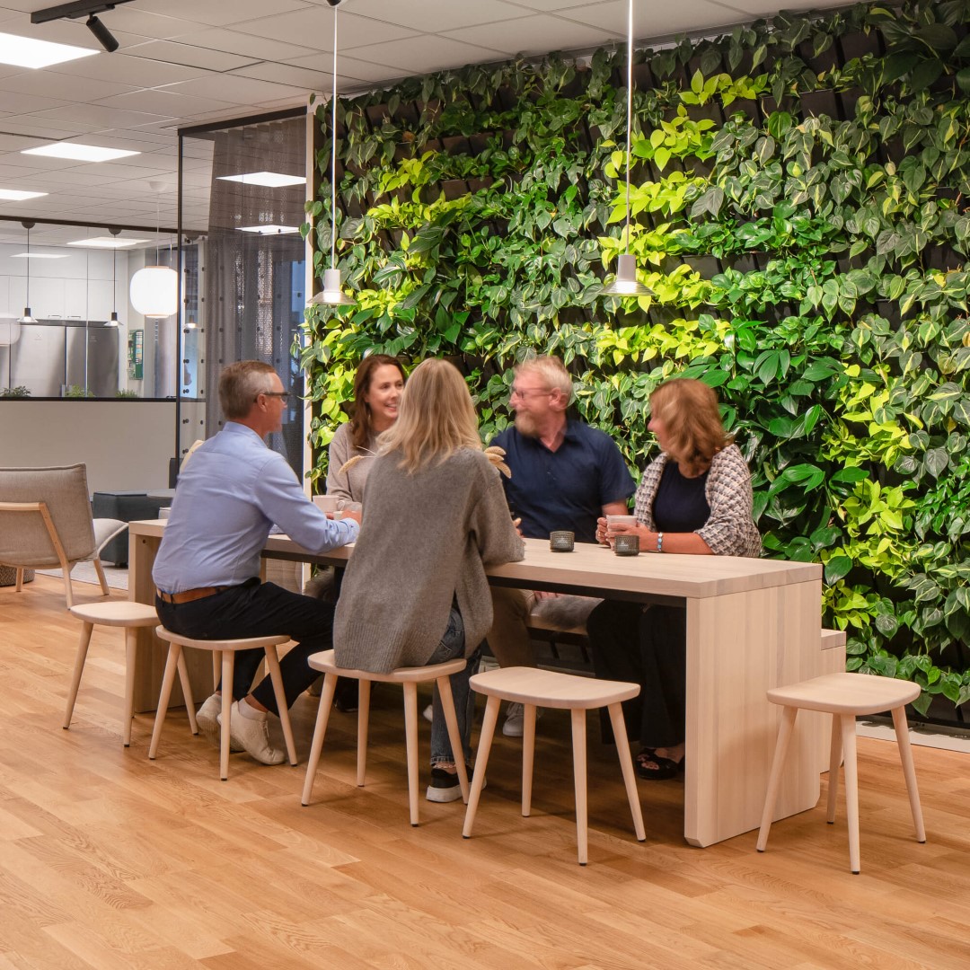 Kollegor sitter vid ett bord på ett kontor framför en vägg med gröna växter.