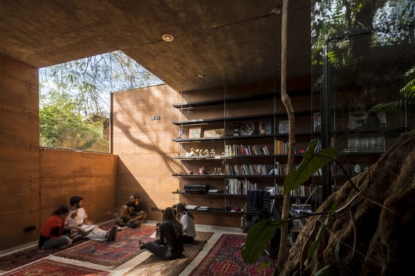 Arbetsplatsen. Office space at Earthbox. Nature has been brought into the office. Wooden walls and a lot of green plants.