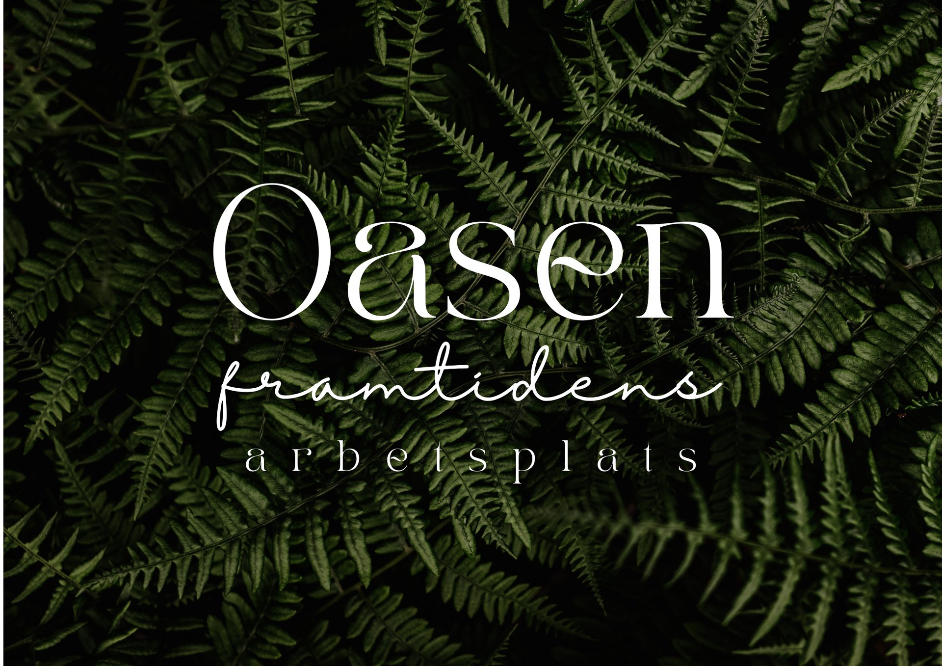 oasen-framtidens arbetsplats